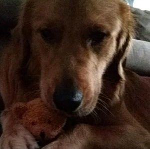 Meet your Posher, Adam